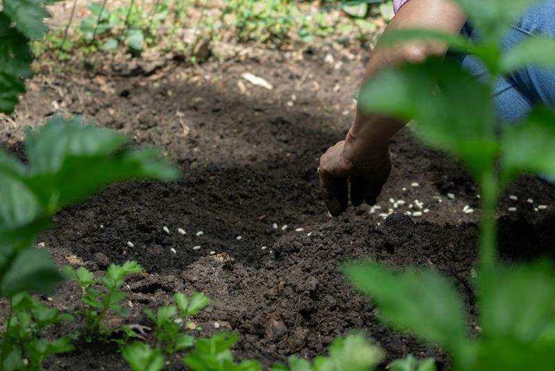 植栽設計・季節の花壇づくり